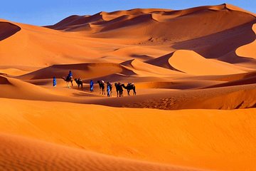 5 Days ( Desert Sahara Tour and Mount Toubkal Trek From Marrakech )