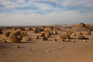 The Valley Of The Whales Two Days Tour From Hurghada With Camping