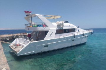 Private Snorkeling Boat Trip To Dolphin House From Hurghada