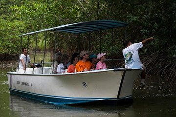 Damas Mangroove Boat Tour from Manuel Antonio