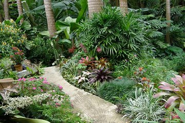 Taste of Barbados Full-Day Sightseeing tour