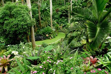Hunte's Garden and St Nicholas Abbey small group Barbados tour