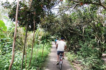 Private tour: Biking and Sightseeing tour In Cai Be, Mekong Delta