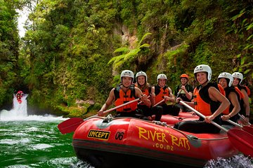 Kaituna River White Water Rafting from Rotorua