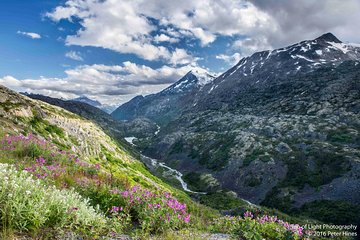 Yukon Suspension Bridge and Summit Tour