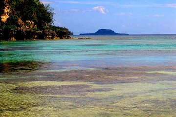 Full-Day Chief Roi Mata Domain, Artok Island and Rainforest Tour of Vanuatu