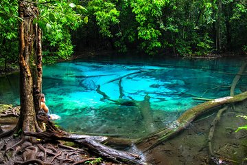 Full Day Emerald Pool and Wareerak Hot Spring Spa