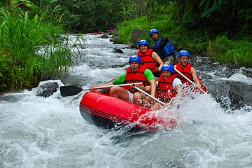 Bali White Water Rafting at Telaga Waja River