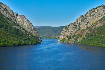 Full-Day Bird Watching Private Tour from Lisbon with Lunch