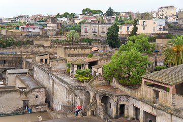 Archeological Herculaneum Private & Personalized Guided Tour 