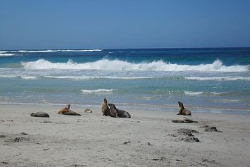 Kangaroo Island in a Day Tour from Adelaide