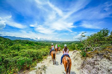 Vida Aventura Ranch Experience