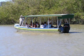 Jungle River Cruise and coffee tour