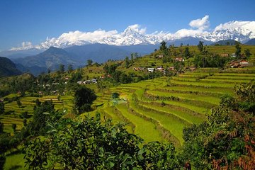 Royal Trek 9 Days
