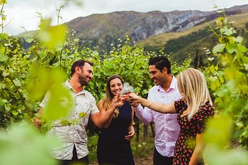 Queenstown Wine Sampler Tour