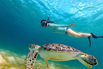 Snorkeling at Hikkaduwa