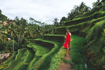 Bali Romantic: Ubud and Tanah Lot Tour