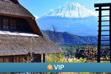 VIP: Mt Fuji Private Tour with Sengen Shrine Visit from Tokyo