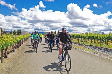 Sonoma Wine Country Bike Tour