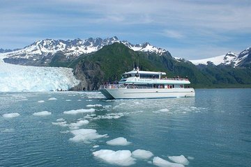 Seward Shore Excursion: Pre- or Post-Cruise Kenai Fjords National Park Tour