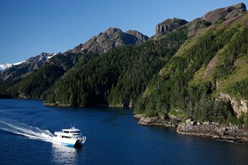 Resurrection Bay Cruise with Fox Island