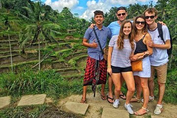 Bali Private Shore Excursion: Explore Ubud Culture with Private Car Charter