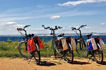 Marseille Shore Excursion Private EBike Tour to the Calanques