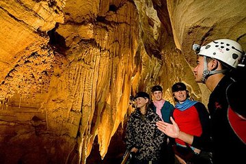  Waitomo Caves Private Driver for Tour