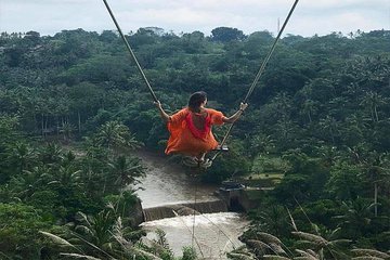 Experience Full Day to Bali Swing Temple and Monkey Forest