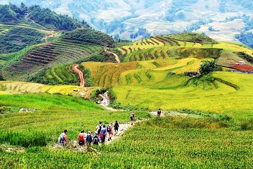 4-day Explore Hanoi City, Ha Long Bay and Sapa Highlights