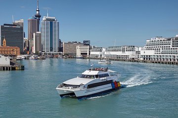 Auckland Harbour Cruise