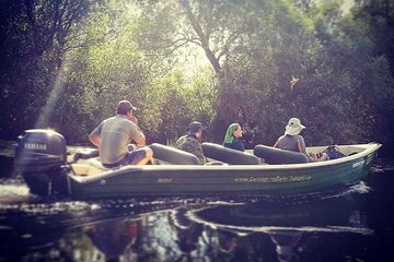 Danube Delta PRIVATE boat trip to Letea Forest (guided tour)