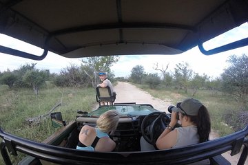 6 Day Lodge and Treehouse Kruger National Park Safari