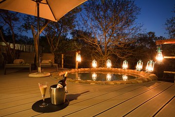 5 Day Katekani Lodge Kruger National Park Safari