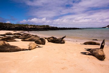 Day Trip to Santa Fe Island from Puerto Ayora