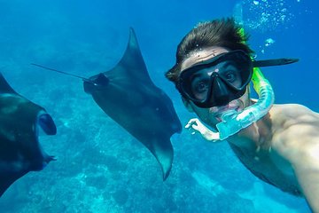 Snorkelling in Nusa Penida - Manta Point