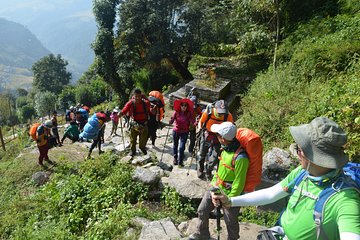7 Days Backpackers Trek