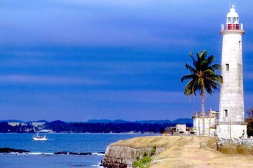 Galle Day Trip With Mangrove Safari From Negombo