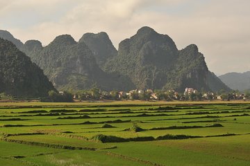 Tour to the caves ONE DAY tour to Phong Nha and Paradise caves