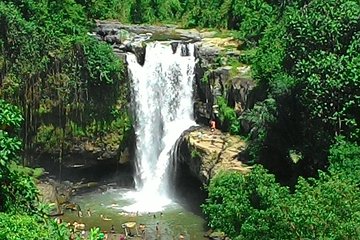 Bali Hindu temple, Rice terrace, Waterfall with lunch