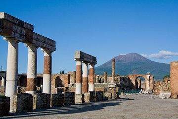 Guided Day Tour of Pompeii and Herculaneum with Light Lunch