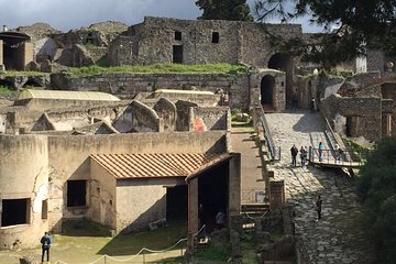 Day Tour of Paestum and Pompei