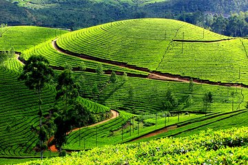 Private 7-Day Kerala Tour From Kochi With Aleppey Houseboat Cruise