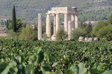 Nemea wine roads, The most famous wine tour in Greece