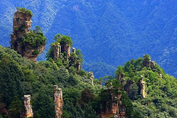 Zhangjiajie National Forest Park Day Tour Including Lunch