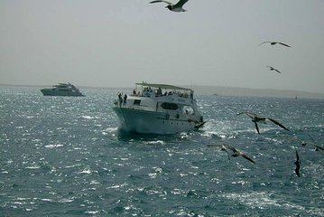 Private sea trip Hurghada