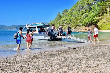 Day Cruise & Island Tour - Snorkel/Wildlife/Paddleboard/Islands