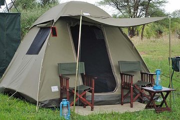 Chobe National Park Camping Safari From Victoria Falls (3 Days and 2 Nights)