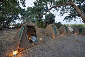 Chobe National Park Camping Safari From Victoria Falls (2 Days and 1 Night)