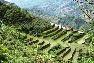 3-Night Sapa Trekking Tour from Hanoi